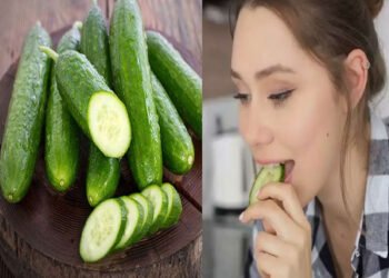 क्या आप भी रोजाना खीरा खाते हैं तो हो जाइए सावधान, हो सकती है बॉडी पर सूजन, दाने और खुजली की परेशानी 