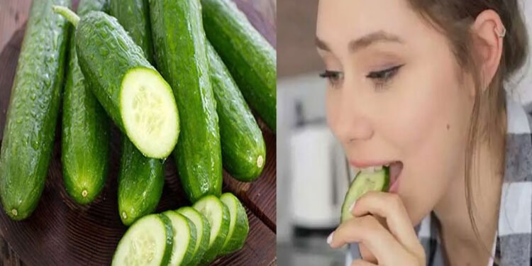 क्या आप भी रोजाना खीरा खाते हैं तो हो जाइए सावधान, हो सकती है बॉडी पर सूजन, दाने और खुजली की परेशानी 