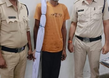 गांजा के पौधे के साथ आरोपी सुनील पांडे गिरफ्तार