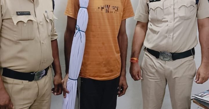 गांजा के पौधे के साथ आरोपी सुनील पांडे गिरफ्तार