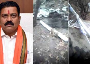 गिरौदपुरी धाम के पवित्र अमरगुफा जैतखांभ में हुई तोड़फोड़ की होगी न्यायिक जांच- Deputy Chief Minister Vijay Sharma 