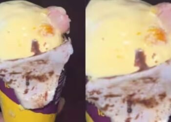 OMG आइसक्रीम में मिली इंसान की उंगली, डॉक्टर खा रहा था शौक से… मामला दर्ज 