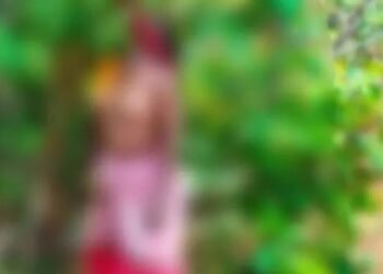 पेड़ से लटकी मिली महिला की लाश, जानें क्या है वजह