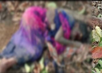 दंतैल हाथियों का आतंक:  बुजुर्ग महिला को कुचलकर उतारा मौत के घाट