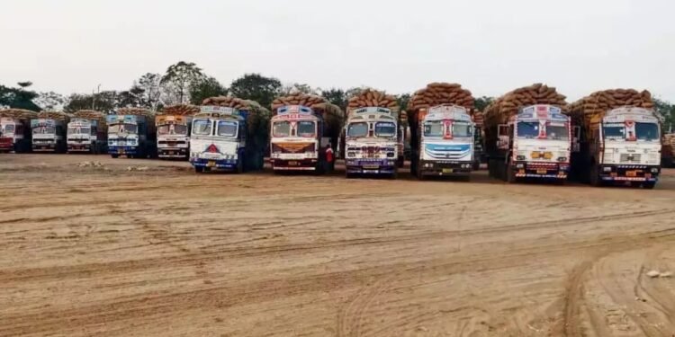Line of 200 trucks loaded with paddy formed in this district, half-baked system exposed