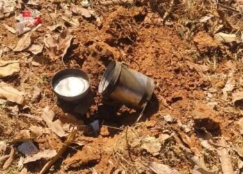 massive action by security forces; IED recovered during search, defused by jawans