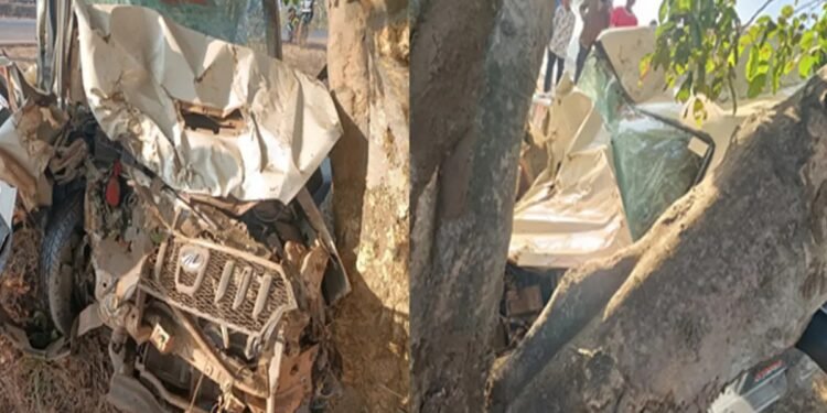Road accident; The Scorpio went out of control and hit a tree; 2 people died and 7 injured in the accident