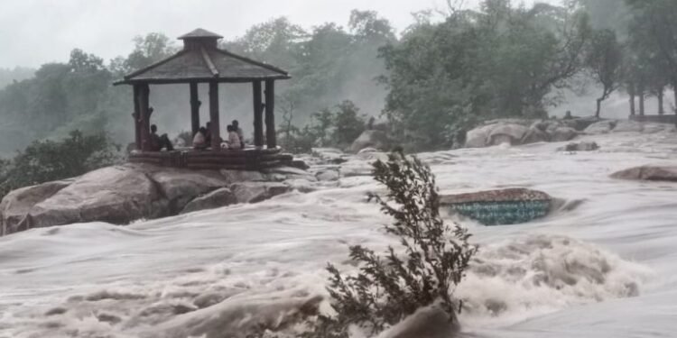 अचानक जलस्तर बढ़ने से फंसे 5 लोग, देखें दिलदहला देने वाला Video