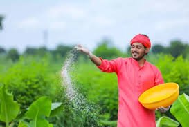 99 percent of the target fertilizers were distributed to the farmers