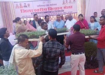 Grafted tomato plants distributed to farmers under the National Agricultural Development Scheme