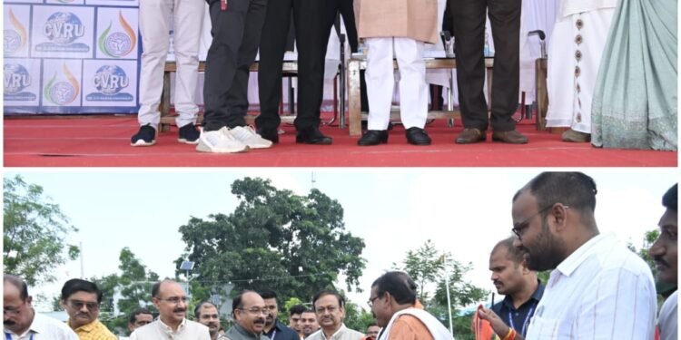 Make sure to sweat for an hour on the playground, it is very important for a healthy body.