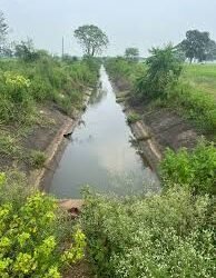 The flow of water in the canals has completely stopped.