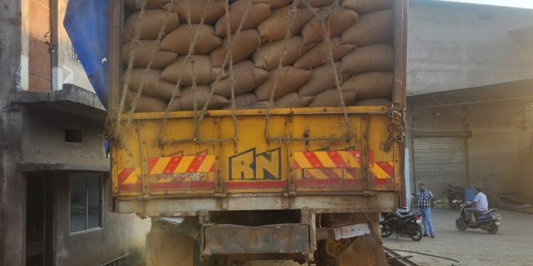 Strict vigil on illegal transportation in the state; 19,320 quintals of paddy seized