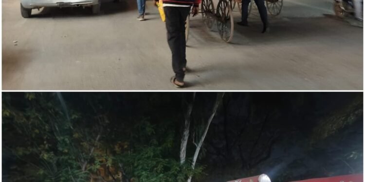 Around 15 carts were seized in a drive at Telibandha Pond Marine Drive._Newsxpress