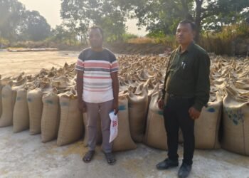 Paddy procurement continues smoothly at 46 centres in Jashpur district_Newsxpress