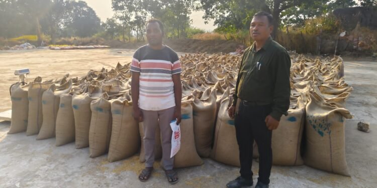 Paddy procurement continues smoothly at 46 centres in Jashpur district_Newsxpress