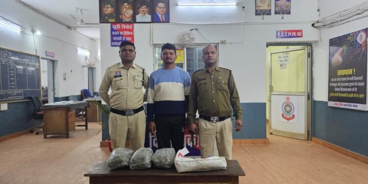 One accused arrested for transporting illegal drug marijuana _Newsxpess