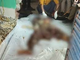 Father-in-law inflicts horrific punishment on daughter-in-law; wife rots in septic tank, husband searches for her