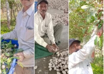 Success Story: Tussar Farming Shows Self-Reliance_ Newsxpress