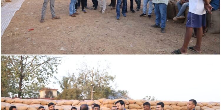 MLA Anuj conducted a surprise inspection of Bangoli Paddy Centre, gave strict instructions to the officials for security and maintenance _Newsxpress