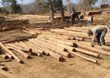 Successful model of 'Digital Revolution' and 'Rozgar Sangam' in Forest Development Corporation