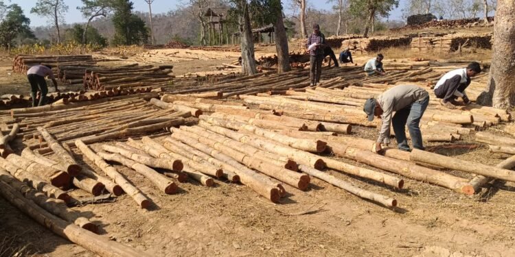 Successful model of 'Digital Revolution' and 'Rozgar Sangam' in Forest Development Corporation