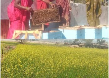 Success Story: Beekeeping Increases Income of Self-Help Group