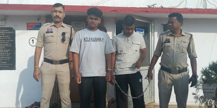 The hobby of traveling in expensive cars became the reason for theft.