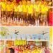 Herbal Holi celebrated at Arpan Public School