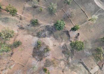 Drone survey reveals 100,000 trees felled in the core area of ​​the Tiger Reserve in 15 years