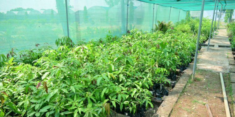 The fragrance of flowers, the bloom of mangoes and the modern technology adorned Government Garden Nursery Pendri