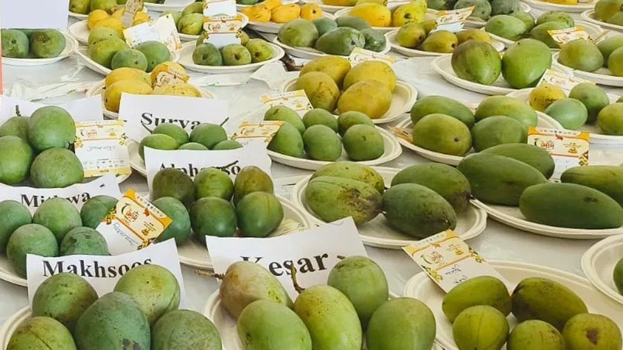 National Mango Festival 2026 to be a grand event on 29th, 30th and 31st May at Krishi Mandapam Jora