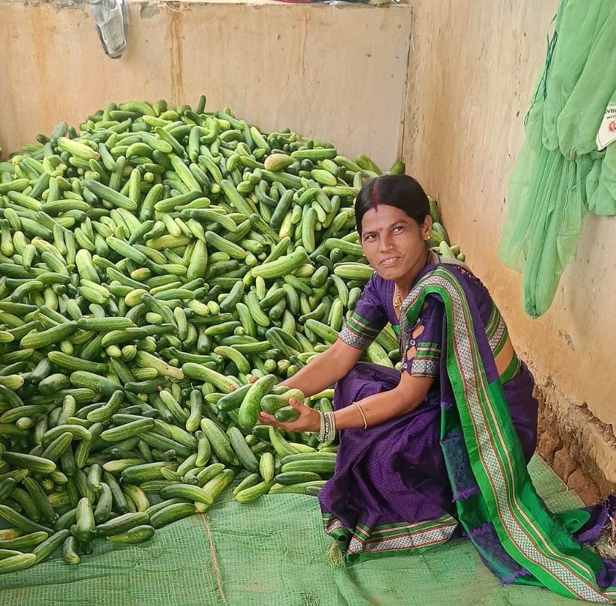 Lakhpati Didi ;बिहान योजना के संबल से बदली आत्मनिर्भरता की तस्वीर