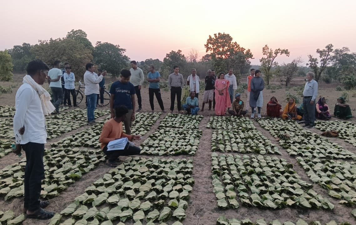 Tendu leaf collectors gain financial strength under the Sai government's good governance; bonus amounts totaling over ₹1.39 crore credited to the accounts of 10,160 beneficiaries.